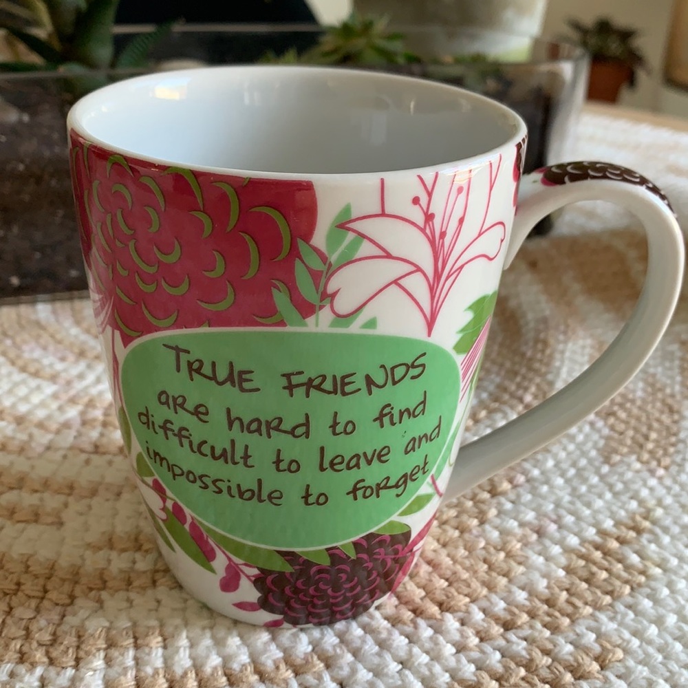 Friendship Pier 1 mug coffee tea cup true friends